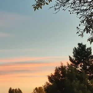 Meet your Posher, Bryanna